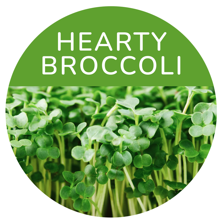 broccoli_tetomatrica_75mm